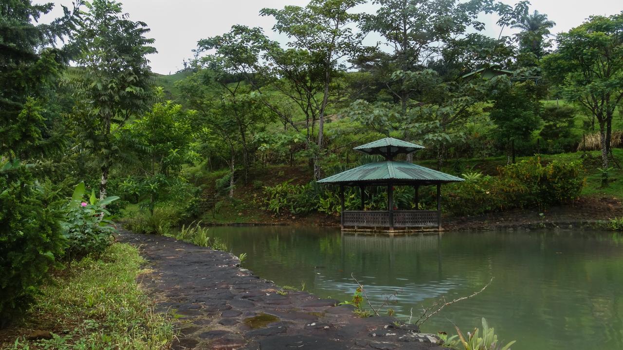 Malekus Mountain Lodge Aguas Claras  Exterior photo